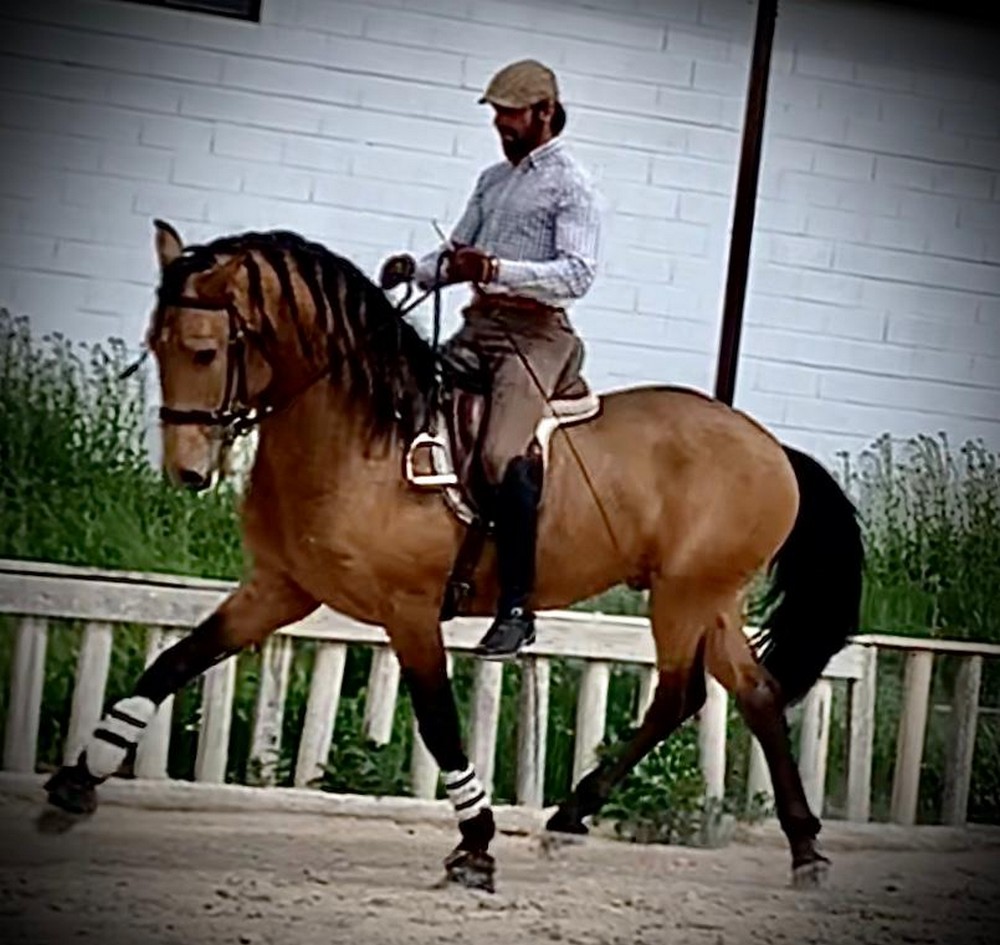 #yoentrenoencasa con Roberto Armend&aacute;riz